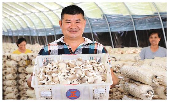 新澳门原料大全免费｜精选解释解析落实