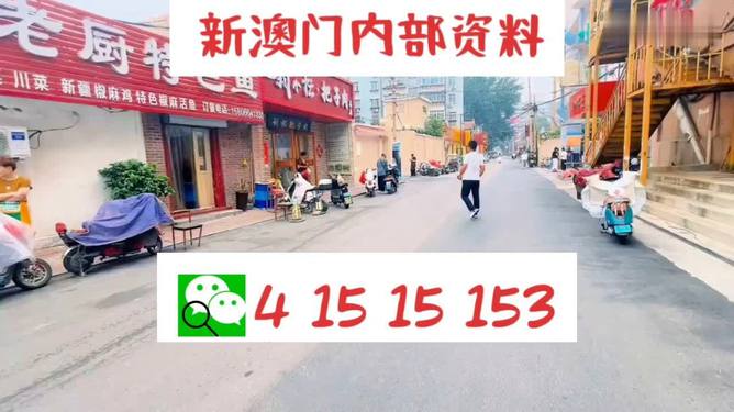 2024年新澳门天天开彩免费查询｜精选解释解析落实