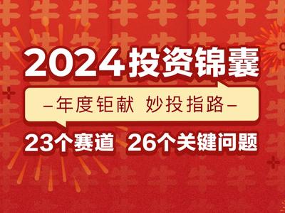 2024正版资料免费公开｜精选解释解析落实